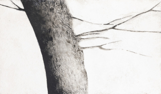 2023.102.0274.jpg